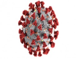  لبنان اليوم - دراسة طبية تكشف عن أثار  على الرئتين يتسبب بها فيروس كورونا على بعض المصابين