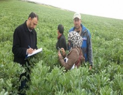  لبنان اليوم - “الزراعة اللبنانية” طبقت مشروع الحد من التلوث بالمواد الكيميائية