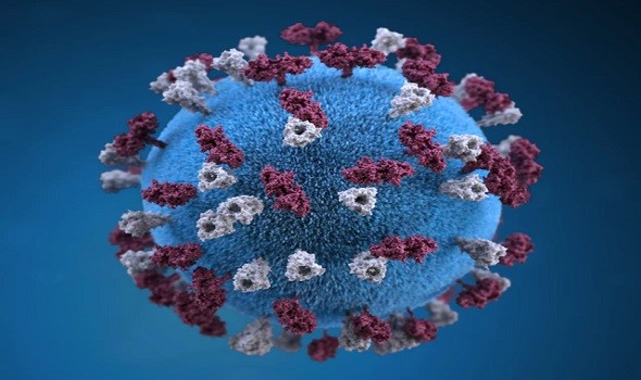  لبنان اليوم - الكشف عن ظهور متحور جديد لفيروس كورونا مثير للقلق في جنوب إفريقيا