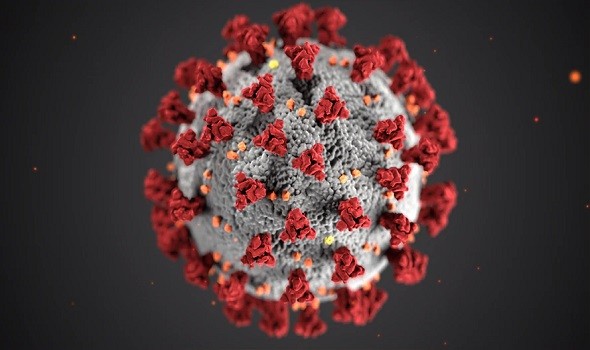  لبنان اليوم - قلق عالمي من"بوتسوانا" المتحور الجديد من فيروس كورونا