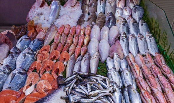  لبنان اليوم - فوائد تناول الأسماك أثناء الحمل