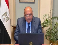  لبنان اليوم - وزير الخارجية المصري يًطالب المجتمع الدولي بتبني خطوات تنفيذية لحل الدولتين لإنهاء أزمة فلسطين