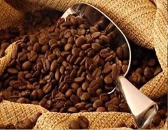  لبنان اليوم - الكافيين قد يساعد بعض أنواع البكتيريا على مقاومة المضادات الحيوية