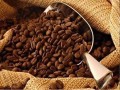  لبنان اليوم - الكافيين قد يساعد بعض أنواع البكتيريا على مقاومة المضادات الحيوية