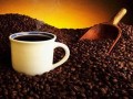  لبنان اليوم - فوائد لاستبدال القهوة بالشاي الأخضر لمدة 30 يومًا