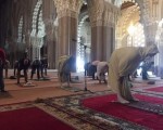  لبنان اليوم - مواقيت الصلاة في مصر اليوم الأربعاء 05 مارس/ آذار 20252027066/2583