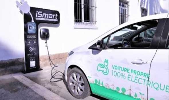  لبنان اليوم - مخترع إسباني يكشف عن مفاجأة في عالم السيارات الكهربائية باستخدام النباتات