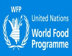  لبنان اليوم - برنامج الأغذية العالمي يُعلن تعليق المساعدات الغذائية مؤقتاً في ولاية الجزيرة بالسودان