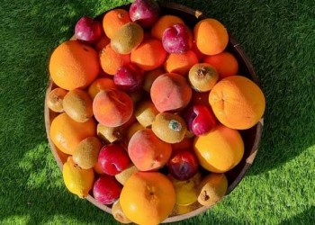  لبنان اليوم - أنواع من الفواكه تحتوي على نسبة عالية من البروتين
