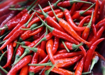  لبنان اليوم - الفلفل الحار وتأثيره على صحة البروستاتا
