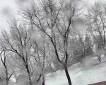  لبنان اليوم - أمطار غزيرة تضرب لبنان وتحذير من قوى الأمن الداخلي للسائقين2015144/499
