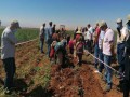  لبنان اليوم - مزارعون لبنانيون يختبرون القنب الهندي بديلاً عن الحشيشة