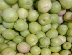  لبنان اليوم - 