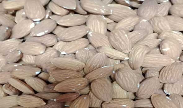  لبنان اليوم - مقارنة بين بذور اليقطين واللوز لمعرفة الخيار الأفضل غذائيا لصحتك