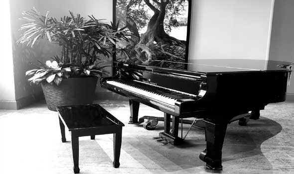  لبنان اليوم - ستيف بركات عازف بيانو كندي من أصل لبناني يكشف عن جولة عربية في الخريف وعن طقوسه قبل حفلاته