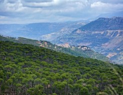  لبنان اليوم - أنطوان ضاهر رئيس مجلس البيئة ينظم رحلة لاكتشاف درب بيئي جديد في جنين