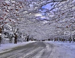  لبنان اليوم - عاصفة شتوية قوية تضرب شمال أميركا وتتسبب في انخفاض درجات الحرارة إلى ما دون الصفر في الجنوب