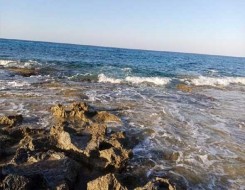  لبنان اليوم - التلوث بجسيمات البلاستيك يُهدد محمية جزر النخيل الواقعة قبالة شاطئ طرابلس في شمال لبنان