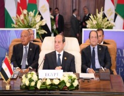  لبنان اليوم - الرئيس السيسي وأمير قطر يشدّدان على أهمية تشكيل جبهة عربية موحدة لحماية الأمن القومي العربي