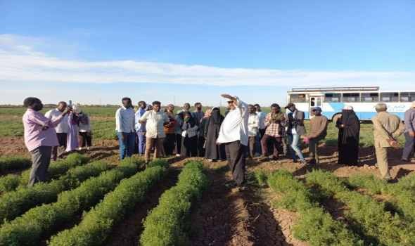  لبنان اليوم - وزير الزراعة السوداني يؤكد أن البلاد لن تجوع بفضل مزارعي ولاية القضارف